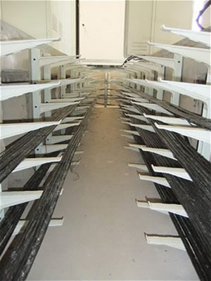 ���ʽ����֧��