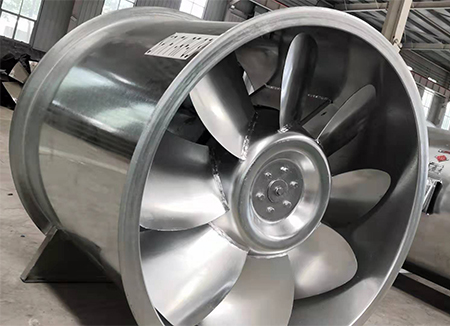 GXFб�����